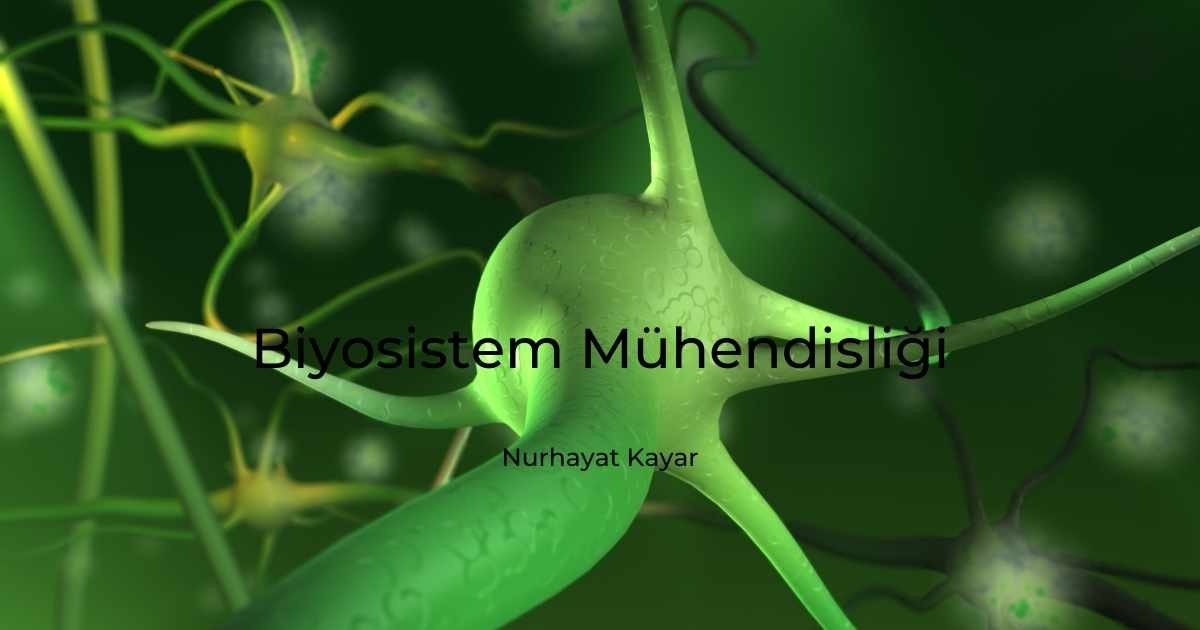 Bu görüntü siyah metinli yeşil bir hücreye aittir. Hücre dikdörtgen şeklindedir ve düz siyah bir arka plana sahiptir. Hücre, yeşil yüzey üzerinde siyah metin içermektedir. Metin kalın, sans-serif bir yazı tipiyle yazılmış ve hücrenin ortasında ortalanmıştır. Metin, hücre kenarlığından biraz daha büyüktür ve metnin kenarları yeşil arka plana karışır. Hücrenin sağ üst köşesinde, siyah kenarlıklı küçük, yeşil bir daire vardır. Daire metinden biraz daha küçüktür.