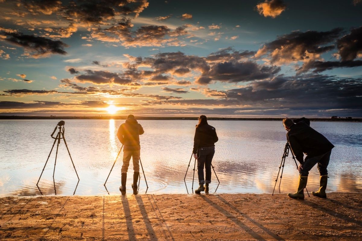 Kum ve sakin mavi bir denizle çevrili bir plajda duran beş kişilik bir grup. İki kişi fotoğraf makinelerini tripodlara yerleştirmiş, diğerleri ise ufka bakıyor. Gökyüzü bir bulut karışımıyla doludur ve güneş batmakta, gökyüzünü pembe ve turuncu tonlarına boyamaktadır. Arka planda, gökyüzünde bir duman bulutu görülebiliyor. Bir kişi güneşin altında durmuş, elinde bir sırıkla kameraya doğru bakmaktadır.