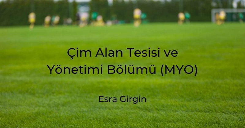 Yeşil bir çim alanın yakın çekiminde, ortada beyaz harflerle yazılmış büyük, siyah bir tabela görülüyor. Kelimeler hafif bulanık, bu da görüntünün yakından çekildiğini gösteriyor. Çimenler canlı ve gür, arka plan ise koyu yeşil. Sağda, yeşil arka plan üzerinde siyah bir daire var ve bir kontrast dokunuşu ekliyor. Daha sağda sarı gömlekli bir kişi, kamera tarafından hafifçe bulanıklaştırılmış. Sahne huzurlu, güneşin ıslattığı çimenlerden ve mavi gökyüzünden yayılan bir sakinlik hissi var.