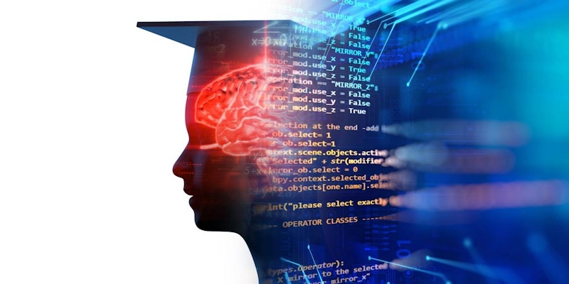 Görüntüde şapka takan bir kişinin silueti görülüyor ve önündeki ekranda bir bilgisayar kodu görülüyor. Kod çeşitli sembol ve harflerden oluşuyor gibi görünüyor ve başını hafifçe yana eğmiş, sanki elindeki göreve dikkatle konsantre olmuş gibi. Resmin arka planı karanlık ve gizemli, gölgelerde ise beyne benzer bir şekil var. Genel olarak resim, özne zor bir görevin üstesinden gelirken gizem ve yoğun konsantrasyon hissi uyandırıyor.