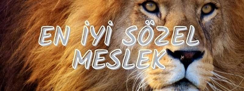 En İyi Sözel Meslek