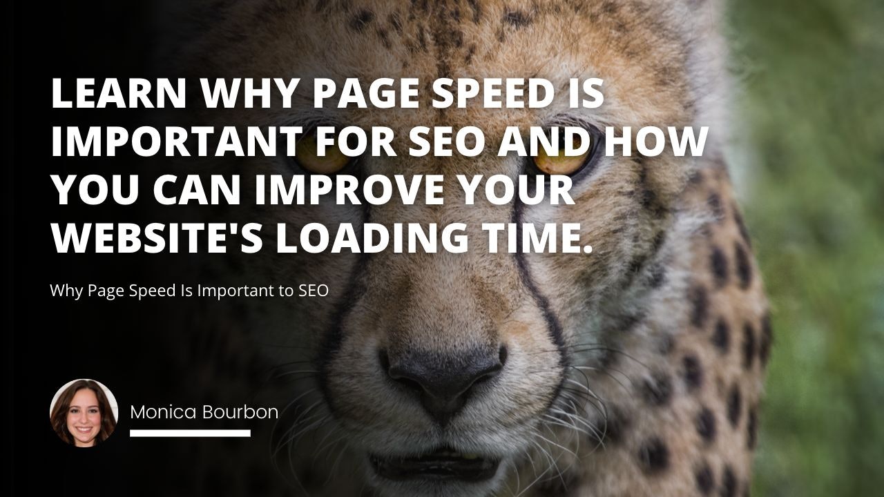 Learn why page speed is important for SEO and how you can improve your website's loading time.
