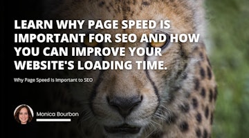 Learn why page speed is important for SEO and how you can improve your website's loading time.