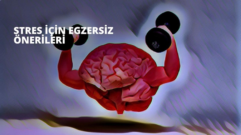 Bir kişi spor salonunda ayakta duruyor ve iki eliyle bir ağırlık kaldırıyor. Dikkatle elindeki işe konsantre oluyor. Kişinin kafası tıraşlı ve beyni görülebiliyor. Fiziksel efor nedeniyle alnında ter parlamaktadır. Ellerindeki ağırlık parlak gümüş kaplamalı gri metal bir halterdir. Beyaz bir tişört, siyah şort ve beyaz spor ayakkabı giyiyorlar. Duvarlar açık gri renktedir ve zemin gri ve siyah kareli bir paspasla kaplıdır. Kişi kararlı ve beyniyle ağırlığı kaldırma görevine odaklanmış görünüyor. Hedeflerine ulaşmak için kendilerini sınırlarına kadar zorluyorlar.