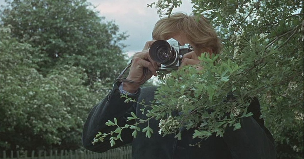 Bir adam uzun, yemyeşil bir ağacın önünde duruyor. Yüzü ağaca dönük ve göğüs hizasında bir fotoğraf makinesi tutuyor, ağacın fotoğrafını çekiyor gibi görünüyor. Mavi ekose bir gömlek, yeşil bir pantolon ve kahverengi ayakkabılar giymektedir. Güneş gökyüzünde pırıl pırıl parlıyor ve ağacın yaprakları ışıkta parıldıyor. Adam birkaç başka ağaçla çevrili çimenlik bir alanda duruyor ve gökyüzünde birkaç bulut var. Görkemli ağacın mükemmel fotoğrafını çekmeye kararlı ve niyetli görünüyor.