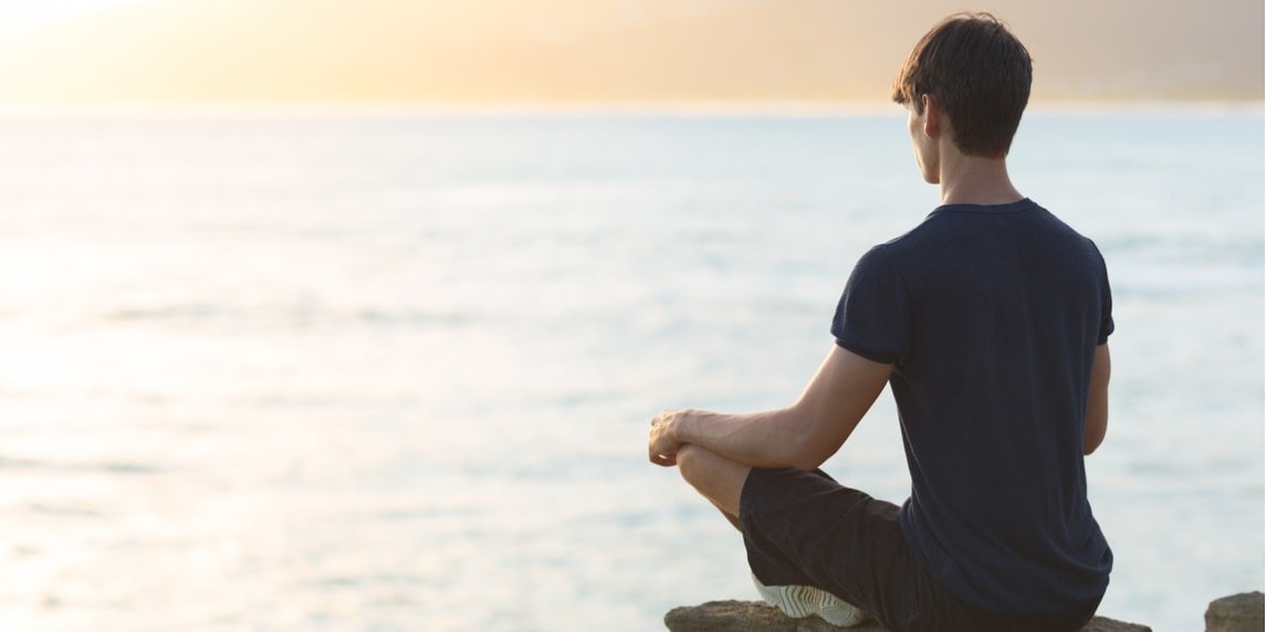 Mavi gömlekli bir adam okyanusun kenarında bir kayanın üzerine oturmuş, ufka bakıyor. Bacaklarını yoga pozunda çaprazlamış ve ellerini dizlerinin üzerine koymuş. Başı hafifçe yana eğiktir ve başının arkası görünmektedir. Arka planda geniş bir su kütlesi bulanık, ötesinde sarı ve beyaz bir yüzey görünüyor. Uzakta siyah beyaz çizgileriyle bir zebra görülebiliyor. Adam, gökyüzünde batan güneşle birlikte huzurlu bir atmosferle çevrilidir.