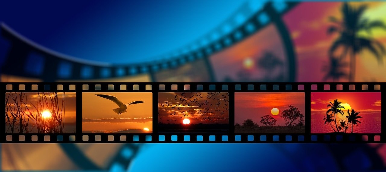 Bu görüntü, üzerinde bir kuşun uçtuğu bir film şeridini tasvir etmektedir. Kuş gökyüzüne karşı siluet halindedir ve kanatlarını açmıştır. Film şeridi bulanık ve hafifçe odak dışı görünüyor. Gökyüzü güzel bir turuncu ve pembe gün batımıdır, arka planda uzun otlar ve ağaçlar görünür. Bir kuş sürüsü de aynı yönde uçuyor, birkaçı ön plandaki kuşun arkasında, birkaçı da önünde. Güneş gökyüzünde alçakta, görüntüye huzurlu ve sakin bir his veriyor. Film şeridi uzaklara doğru devam ediyor ve renkler soluyor. Doğanın güzelliğini ve uçuş özgürlüğünü yakalayan çarpıcı bir sahne.