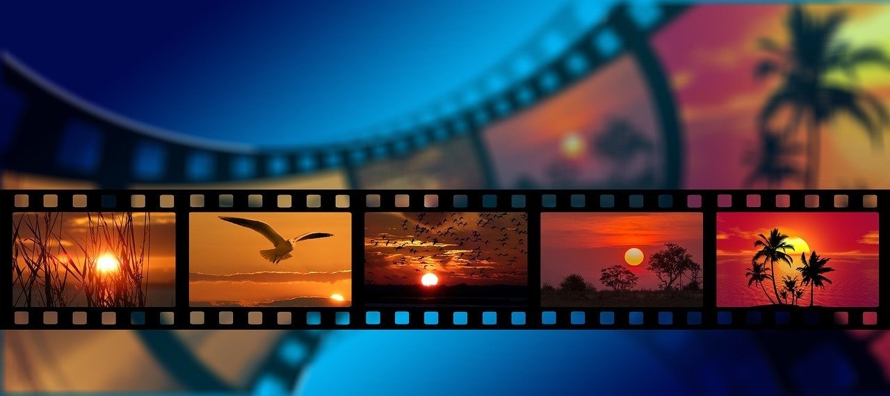Bu görüntü, üzerinde bir kuşun uçtuğu bir film şeridini tasvir etmektedir. Kuş gökyüzüne karşı siluet halindedir ve kanatlarını açmıştır. Film şeridi bulanık ve hafifçe odak dışı görünüyor. Gökyüzü güzel bir turuncu ve pembe gün batımıdır, arka planda uzun otlar ve ağaçlar görünür. Bir kuş sürüsü de aynı yönde uçuyor, birkaçı ön plandaki kuşun arkasında, birkaçı da önünde. Güneş gökyüzünde alçakta, görüntüye huzurlu ve sakin bir his veriyor. Film şeridi uzaklara doğru devam ediyor ve renkler soluyor. Doğanın güzelliğini ve uçuş özgürlüğünü yakalayan çarpıcı bir sahne.