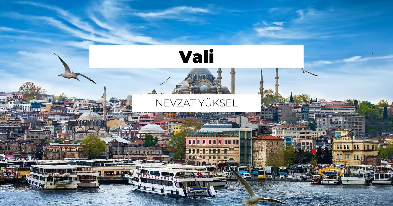 Kırmızı ve beyaz süslemeli, kubbe şeklindeki çarpıcı bir binaya doğru dalgaların arasında seyreden pitoresk bir teknenin bulunduğu hareketli bir şehir. Binanın arkasında siyah harflerle beyaz bir tabela var ve binaya yakından bakıldığında beyaz zemin üzerinde siyah bir V harfi görülüyor. Suyun üzerinde uçan bir kuş ve gökyüzünde bulutların arasından süzülen başka bir kuş görülüyor. Tekne huzurlu suyla çevrilidir ve uzakta teknenin üzerinde uçan küçük bir kuş sahnenin huzuruna katkıda bulunmaktadır.