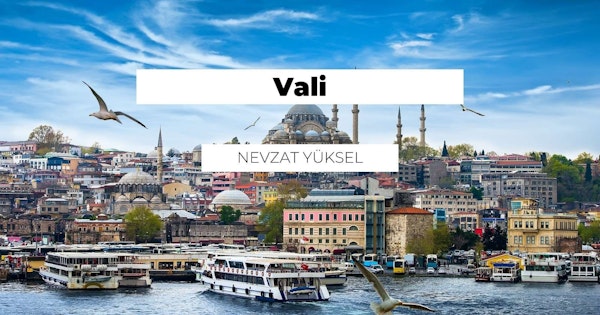 Kırmızı ve beyaz süslemeli, kubbe şeklindeki çarpıcı bir binaya doğru dalgaların arasında seyreden pitoresk bir teknenin bulunduğu hareketli bir şehir. Binanın arkasında siyah harflerle beyaz bir tabela var ve binaya yakından bakıldığında beyaz zemin üzerinde siyah bir V harfi görülüyor. Suyun üzerinde uçan bir kuş ve gökyüzünde bulutların arasından süzülen başka bir kuş görülüyor. Tekne huzurlu suyla çevrilidir ve uzakta teknenin üzerinde uçan küçük bir kuş sahnenin huzuruna katkıda bulunmaktadır.