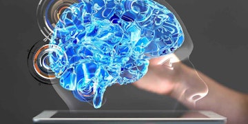 Bir insan beyninin bu yakın çekim görüntüsü siyah beyaz olarak gösterilmiştir. Beynin karmaşık yapısını gösteren oldukça detaylı bir fotoğraftır. Fotoğraf, pürüzsüz yüzeyi ve kıvrımları görülebilen beynin ön tarafına odaklanmaktadır. Sol üst köşede, bir kişinin burnunun küçük bir kısmı görülebiliyor. Ayrıca görüntünün sol alt köşesinde mavi bir ışık ve beynin kenarı boyunca uzanan koyu renkli ince bir çizgi var. Bu görüntü, insan beyninin karmaşıklığının net bir temsilidir ve beynin yapısını ve işlevini daha fazla incelemeye yardımcı olmak için kullanılabilir.