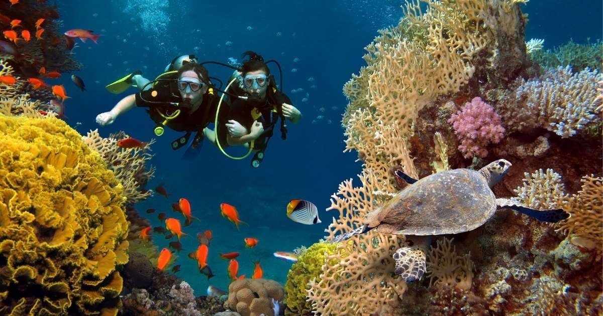 Scuba Diving Nedir? Scuba Diving Ekipmanları