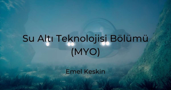 Bir denizaltı masmavi bir okyanusta suyun altına batırılmıştır. Denizaltının yan tarafındaki metin, mavi bir arka plana karşı siyah yazı tipindedir. Denizaltının içinde bir kişi görülüyor, elleri direksiyonun üzerinde uçağı sürmeye konsantre olmuş durumda. Arka planda, kayalık dokusu ve çok katmanlı yapısıyla bir uçurumun yakın çekimi görülüyor. Çerçevede ayrıca kameraya yakın duran ve beyaz bir yüzey üzerinde siyah harflerle yazılmış bir tabela da görülüyor. Çerçevenin alt kısmı, bazıları uzun ve yeşil, diğerleri küçük ve sarı olan çeşitli bitkilerle dolu. Son olarak, ön planda bir araba görülüyor, ön ızgarası ve farları keskin odakta.