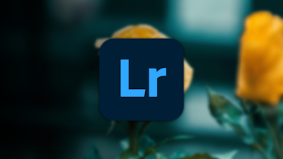 Bu görüntü yeşil bir bitki üzerine yerleştirilmiş bir logoyu göstermektedir. Logo, mavi ve siyah renklerden oluşan bir kare gibi görünmektedir. Ortasında beyaz bir L harfi yer alıyor. Arka plan hafifçe odak dışı ve sol üst köşede sarı bir nesne görülebiliyor. Ön plandaki bitki küçük, beyaz çiçeklerle doludur. Logo bitkinin ortasına yerleştirilmiş ve büyük yapraklarla çevrelenmiştir. Görsel canlı, yeşil bir renk düzenine ve açık ve koyu öğeler arasında güçlü bir kontrasta sahip. Fotoğraf genel olarak doğadaki eşsiz bir anı yakalıyor.