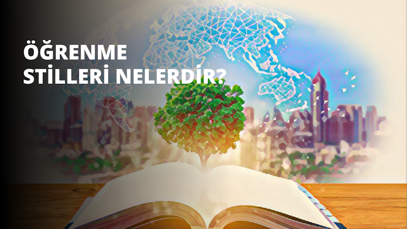 Bu resimde, ön kapağında bir dünya haritası bulunan ve içinden bereketli bir ağaç çıkan bir kitap var. Ağacın yeşil ve kırmızı yapraklarının bir karışımı var ve gövdesi oldukça kalın. Kitap düz bir yüzeyde duruyor ve ağaç kitabın ortasından yükseliyor. Ağacın yaprakları her yöne uzanarak yemyeşil bir gölgelik oluşturuyor. Kitabın kenarlarında, gözleri ağaca doğru bakan bir kişinin yüzünün yakın çekimi yer alıyor. Bu görüntü, doğanın güzelliğinin ve bilginin gücünün mükemmel bir örneğidir.