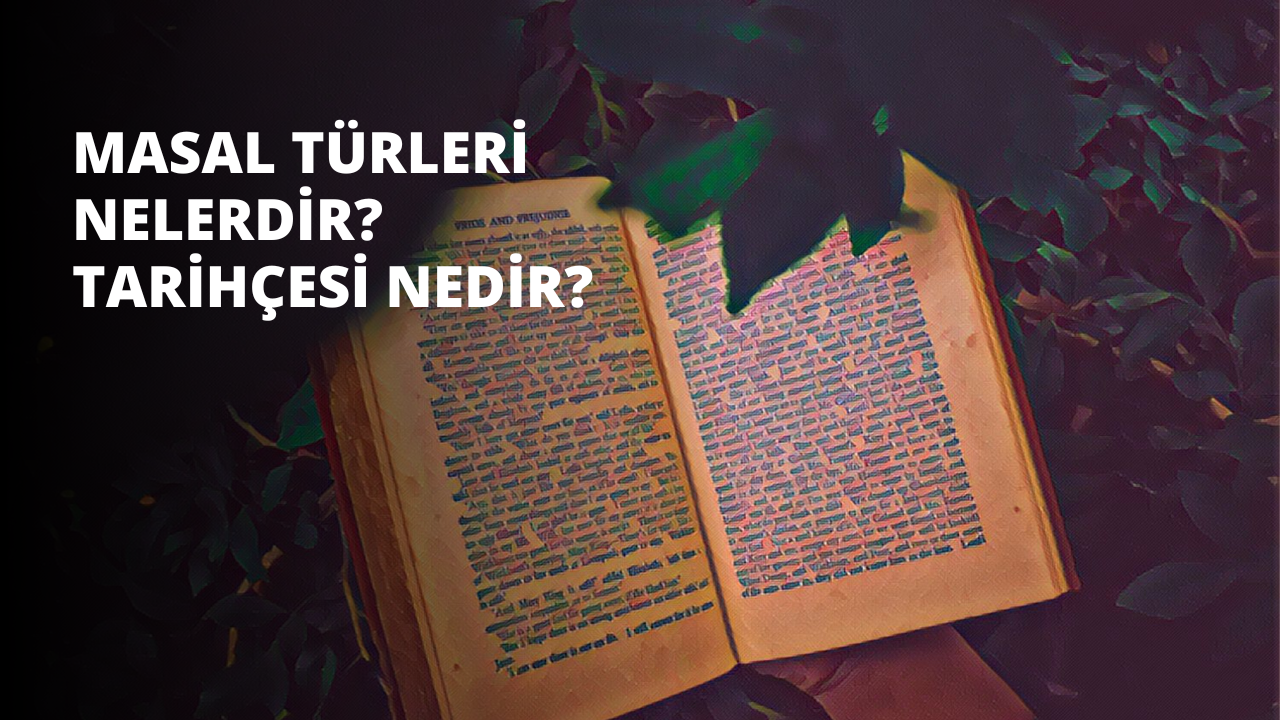 Bu, sayfasında metin bulunan açık bir kitabın görüntüsüdür. Kitap düz bir yüzey üzerinde durmakta ve sayfa yukarı bakmaktadır. Metin siyah mürekkeple yazılmış ve metin açıkça okunabiliyor. Sayfa, diyagramlar, tablolar ve paragraflar da dahil olmak üzere önemli miktarda bilgi ile doldurulmuştur. Metin Times New Roman gibi görünen bir yazı tipiyle yazılmış. Kitap kapağı beyaz zeminli koyu mavidir. Kitabın solunda bir fincan kahve, sağında ise bir kalem var. Arka plan açık mavi bir duvar, beyaz bir çerçeve ve beyaz bir raf. Dışarıdan ışık alan beyaz bir pencere var.