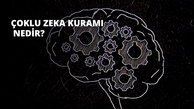 Bu siyah beyaz çizimde, etrafında karmaşık detaylara sahip dişliler bulunan bir beyin yer almaktadır. Dişliler birbirine bağlı ve dairesel bir hareketle hareket ediyor. Resmin merkezinde büyük siyah bir daire beyaz çizgilerle çevrelenmiştir. Resmin solunda, etrafında beyaz bir çizgi dolanan küçük siyah beyaz bir dişli görülüyor. Görüntünün sağ tarafında, bir dizi beyaz çizgi ile daha büyük bir siyah beyaz dişli vardır. Görüntünün üst kısmında, birkaç eğri çizgi ile bir logo görülmektedir.
