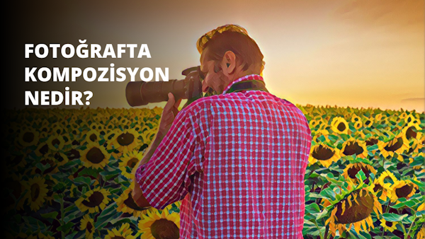 Kırmızı ve mavi ekose gömlek giyen bir adam, canlı sarı ayçiçeklerinden oluşan bir tarlanın önünde duruyor. Elinde bir fotoğraf makinesi tutuyor ve fotoğraf çekiyor. Diğer elinde ise bir mikrofon tutmaktadır. Yakın planda, parlak sarı yaprakları ve koyu renkli merkeziyle tek bir ayçiçeği resmedilmiştir. Resimde siyah zemin üzerine beyaz bir harf de görülüyor. Ayçiçekleri tam çiçek açmış gibi görünüyor ve adam renkli tarlanın fotoğrafını çekiyor. Adam ayçiçeği tarlasında duruyor, parlak sarı çiçeklerin güzelliğinin tadını çıkarıyor ve anı bir fotoğrafla yakalıyor.