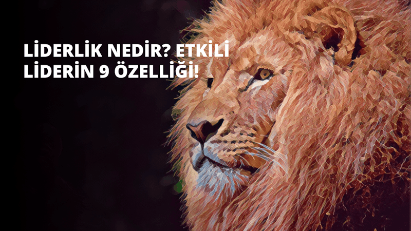 Doğrudan kameraya bakan beyaz sakallı bir aslanın yakın çekimi. Yüzü, sırtından aşağıya doğru inen uzun, altın rengi bir yeleyle çerçevelenmiş. Gözleri koyu sarı, kürkü ise kahverenginin açık bir tonunda. Arkasında siyah bir arka plan ve üzerinde 'Zd' yazan beyaz bir yazı var; görüntünün sağ tarafında ise bir kedinin gözünün yakın çekimi ve üzerinde beyaz bir '11' rakamı yer alıyor. Kedinin yüzü çoğunlukla gölgeler içinde gizlenmiş, ancak parlak yeşil gözü görülebiliyor. Resmin geneli renklerin karışımıyla canlıdır ve aslanın ifadesi güç ve kudreti yansıtmaktadır.