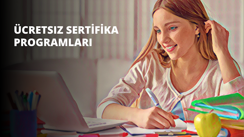 Bir kadın masada oturmuş, sarı bir kalemle bir kâğıda bir şeyler yazıyor. İşine odaklanmış, dikkatle yazarken gözleri konsantrasyonla hafifçe kısılıyor. Masa çeşitli eşyalarla - bir dizüstü bilgisayar, bir kupa, bir kalem - darmadağınık ama kadının tüm dikkati önündeki kağıtta. Arka planda renkli bir nesnenin ve bir kişinin elinin bulanık görüntüsü de görülebiliyor. Yanındaki masanın üzerinde yeşil yapraklı sarı bir elma var. Kadın derin düşüncelere dalmış gibi görünüyor, dikkatle çalışırken başı hafifçe eğik.