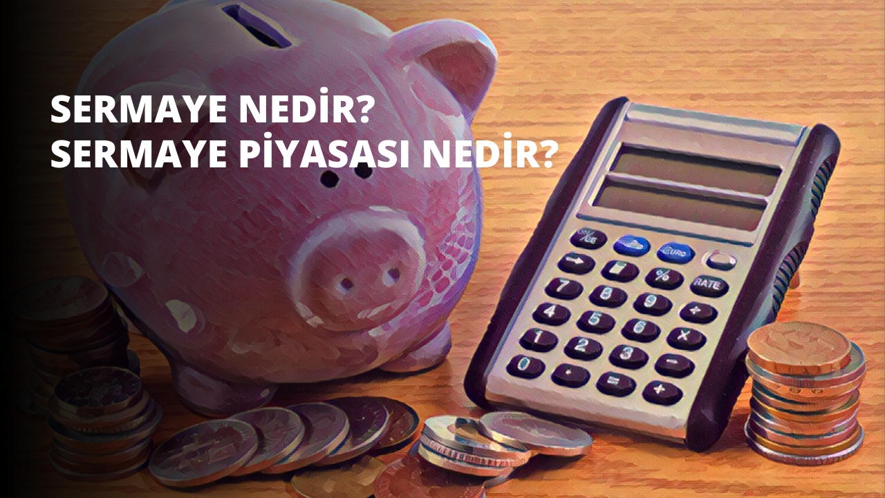 Üzerinde beyaz yazılar olan pembe bir kumbara, bilimsel bir hesap makinesinin yanındaki masanın üzerinde duruyor. Bozuk paralar hesap makinesinin yanında düzgün bir şekilde istiflenmiş ve kumbara ağzına kadar dolu. Kumbaranın üzerinde dokulu bir arka plana sahip beyaz bir etiket, hesap makinesinin üzerinde ise çeşitli şekil ve boyutlarda düğmeler bulunmaktadır. Yığındaki bozuk paralar parlak ve yansıtıcı bir yüzeye sahip ve renkleri çoğunlukla bakır ve altın karışımı. Masa açık kahverengi ahşap bir yüzeye sahip. Arka planda, görünür hiçbir özelliği olmayan açık gri bir duvar var.