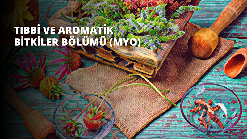 Çeşitli bitkilerle dolu hasır bir sepetin yakın çekimi. Sepet açık kahverengi dokuma bir malzemeden yapılmış ve eğrelti otları, sarmaşıklar, çiçekler ve yapraklar da dahil olmak üzere çeşitli yeşil bitkilerle dolu. Bitkiler, daha büyük bitkiler arkaya ve daha küçük bitkiler öne gelecek şekilde bir düzen içinde yerleştirilmiştir. Sepet ahşap bir masanın üzerinde dururken, arka planda ahşap bir havaneli ve bir kase çilek görülüyor. Bitkiler, aksi takdirde nötr olan ortama renk katıyor ve genel sahne davetkâr ve sakinleştirici.