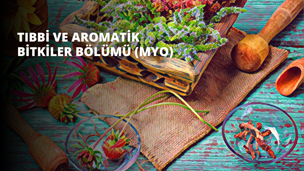 Çeşitli bitkilerle dolu hasır bir sepetin yakın çekimi. Sepet açık kahverengi dokuma bir malzemeden yapılmış ve eğrelti otları, sarmaşıklar, çiçekler ve yapraklar da dahil olmak üzere çeşitli yeşil bitkilerle dolu. Bitkiler, daha büyük bitkiler arkaya ve daha küçük bitkiler öne gelecek şekilde bir düzen içinde yerleştirilmiştir. Sepet ahşap bir masanın üzerinde dururken, arka planda ahşap bir havaneli ve bir kase çilek görülüyor. Bitkiler, aksi takdirde nötr olan ortama renk katıyor ve genel sahne davetkâr ve sakinleştirici.