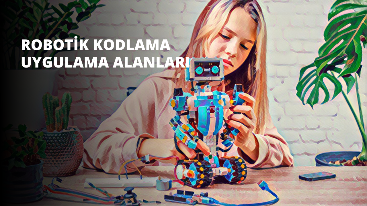 Genç bir kız elinde küçük bir robotik oyuncak tutmaktadır. Robot beyazdır ve iki gözü ve bir ağzı olan mavi bir yüzü ve başının üstünden çıkan iki anteni vardır. Kız pembe bir gömlek giyiyor ve koyu renk saçları var. Arkasında saksı içinde yeşil yaprakları ve toprağı görünen bir bitki var. Sağ üst köşede şapka takan bir kişinin bulanık bir görüntüsü görülüyor. Sağ alt köşede çok sayıda nokta içeren renkli bir nesne var. Arka plan beyaz bir duvardır. Kız elindeki robota odaklanmıştır, cihazın yakın çekimi karmaşık ayrıntılarını göstermektedir.