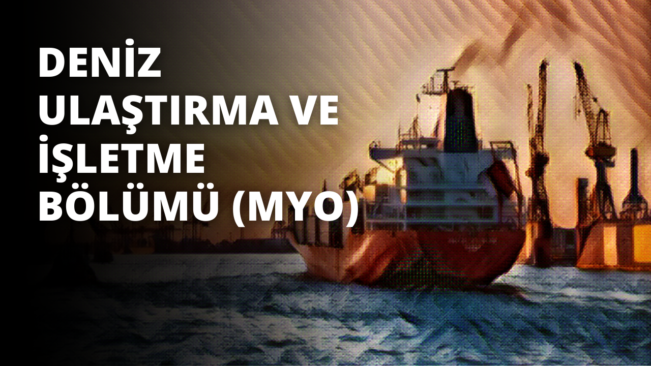 Resimde su üzerinde seyreden büyük bir gemi görülüyor. Gemi çoğunlukla beyazdır, ancak kenarlarında bir miktar mavi ve kırmızı vardır. Gemi çerçevenin ortasında seyrediyor, güneş yandan parlıyor ve geminin üstünü hafifçe aydınlatıyor. Direkler, bayraklar ve gemideki diğer bazı küçük detaylar gibi birkaç küçük ayrıntı seçilebiliyor. Arka plan bulanık ama geminin detayları oldukça net. Arka planda küçük siyah bir nesne var ama seçilemeyecek kadar bulanık.