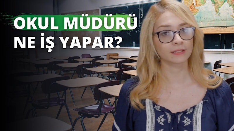 Gözlüklü bir kadın, sandalyeler ve sıralarla dolu bir sınıfta oturmaktadır. Mavi bir gömlek giymiştir ve doğrudan kameraya bakmaktadır. Arkasında kıtaları, okyanusları ve ülkeleri açıkça görülebilen büyük bir dünya haritası var. Önündeki masanın üzerinde yeşil ve beyaz bir işaret var. Yüzünde kendinden emin bir ifade var, gözleri gözlüklerinin arkasında parlıyor. Göğsünün yakın çekim görüntüsü, gömleğinin düğmeleri hafifçe açık, köprücük kemiğinin bir kısmı görünüyor. Masasının yanında yerde, üzerinde birkaç kitap ve kağıt bulunan küçük bir masa var.