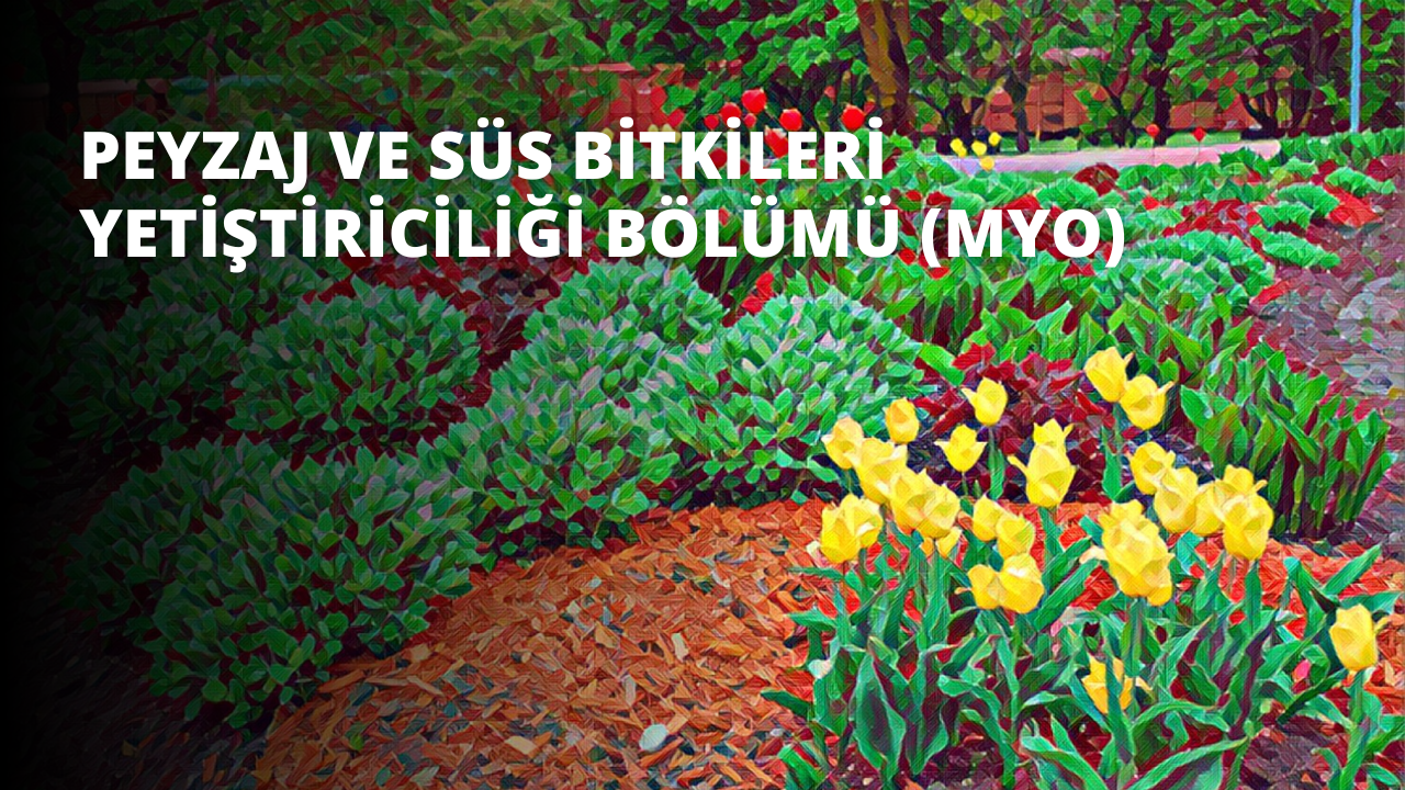 Bir dizi güzel çiçek ve bitkinin açtığı canlı bir bahçe. Ön plan, bazıları parlak kırmızı veya yeşil yapraklı sarı çiçeklerle dolu ve arka plan bir renk kaleydoskopu. Ortada narin yaprakları ve parlak yeşil yapraklarıyla tek bir sarı çiçek göze çarpıyor. Sol üst köşede küçük beyaz bir 'o' harfi daha fazla yeşil yaprakla çerçevelenmiştir. Sahne, hayat dolu mükemmel bakımlı bir bahçe ile çerçevelenmiştir.