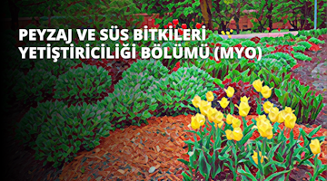 Bir dizi güzel çiçek ve bitkinin açtığı canlı bir bahçe. Ön plan, bazıları parlak kırmızı veya yeşil yapraklı sarı çiçeklerle dolu ve arka plan bir renk kaleydoskopu. Ortada narin yaprakları ve parlak yeşil yapraklarıyla tek bir sarı çiçek göze çarpıyor. Sol üst köşede küçük beyaz bir 'o' harfi daha fazla yeşil yaprakla çerçevelenmiştir. Sahne, hayat dolu mükemmel bakımlı bir bahçe ile çerçevelenmiştir.