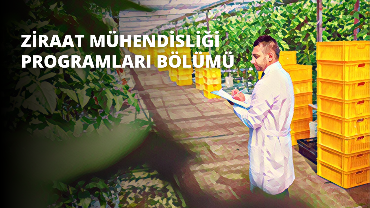 Beyaz önlüklü bir adam çerçevenin ortasında durmaktadır. Sol kolu aşağı sarkarken sağ elinde bir pano tutmaktadır. Göğüs bölgesinde sarı bir O harfi bulunan beyaz bir ceket giymektedir. Arka planda üzerinde çeşitli etiketler bulunan kırmızı ve sarı plastik bir çöp kutusu ve tuğla yüzeyinde bir kuş gölgesi var. Adamın önünde sağ alt köşesinde beyaz yazı ve bir kılıç bulunan yeşil bir bitki var. Ceketinin altında beyaz bir gömlek giyen adamın başı kısmen görünüyor. Odaklanmış ve konsantre görünüyor.