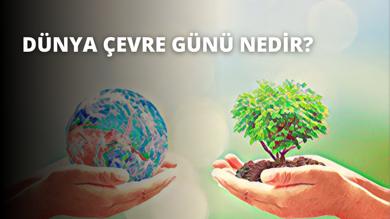 İki el bir küre ve küçük bir ağaç tutmaktadır. Küre mavi beyaz bir mermer, ağaç ise ince gövdeli yeşil yapraklı bir bitkidir. Eller avuç içleri birbirine bakacak şekilde konumlandırılmış, küreyi ve ağacı kucaklıyor. Bir elin yakın çekimi, parmaklar açılmış ve etraflarına sarılmış halde küre ve ağacın daha iyi bir görünümünü ortaya çıkarıyor. Arka plan düz gri ve üzerinde beyaz bir metin var. Resmin köşesinde bir kişinin dudaklarının yakın çekimi görülüyor.