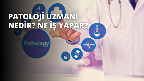 Bu görüntü, dokunmatik ekrana dokunan bir elin yakın çekimini göstermektedir. El mavi bir gömlek giymektedir ve ekranın koyu arka planına karşı aydınlatılmıştır. Görüntünün sağ üst köşesinde, içinde bir sıvı bulunan benzersiz yuvarlak bir nesne ile küçük mavi bir daire görülebilmektedir. El, sanki cihazla etkileşime girmeye çalışıyormuş gibi dikkatli ve hassas bir şekilde ekrana doğru yerleştirilmiştir. Görüntü, ekranın sıcak sarı ışığının gömleğin soğuk mavileri ve köşedeki gizemli nesneyle tezat oluşturmasıyla canlı ve hareketli bir atmosfere sahip. Görüntü, teknolojinin potansiyelini ve sınırlarını vurgulayarak hem modernlik hem de gizem duygusu taşıyor.