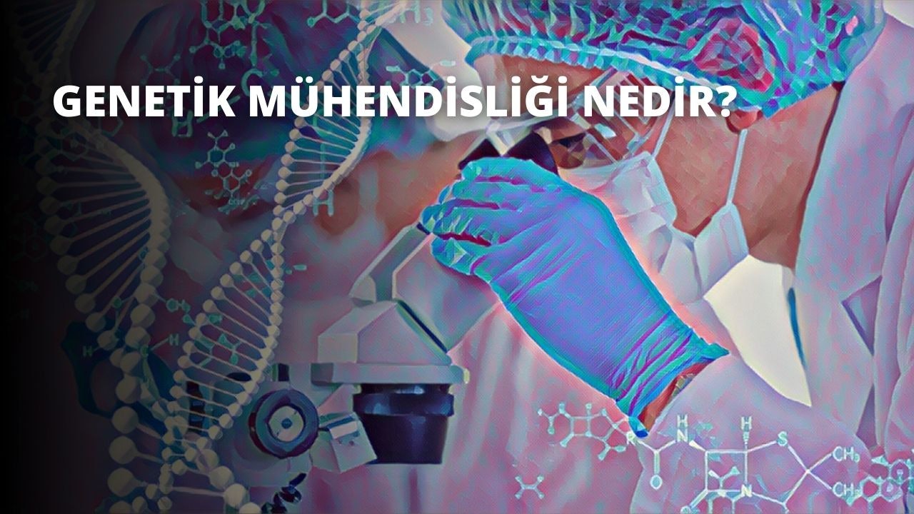 Mavi eldiven giyen bir kişi, bir DNA yapısını yakından gözlemlemek için mikroskop kullanıyor. Mikroskop, beyaz metin ve mavi beyaz dairesel bir nesneyle dolu renkli bir arka plan üzerine yerleştirilmiştir. Kişi yapıyı dikkatle inceliyor, gözleri odaklanmış ve vücudu daha iyi bakmak için yaklaşıyor. Mikroskop, karmaşık detaylara ve ince iplikçiklere sahip DNA yapısının net ve ayrıntılı bir görüntüsünü sunuyor. Kişi dikkatle gözlemliyor, konsantrasyonu hiç bozulmuyor.
