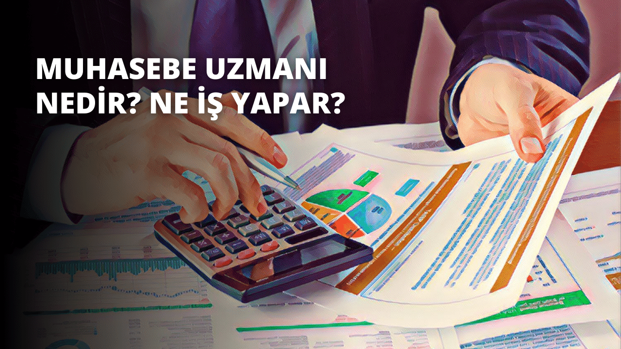 Genç bir kişi masa başında oturmuş, hesap makinesi ve kalem kullanmaktadır. Hesap makinesi sağ elinde, kalem ise sol elindedir. Hesap makinesinde rakamlarla etiketlenmiş birkaç düğme vardır ve kişinin parmağı bunlardan birine basmaktadır. Gözleri ekrana sabitlenmiş olduğundan odak noktaları hesap makinesi gibi görünmektedir. Yüzü konsantrasyonla hafifçe buruşmuş ve ağzı hafifçe açık. Saçları kısa ve koyu renktir ve mavi bir gömlek giymektedir. Ellerinde tuttukları kalem siyahtır ve gümüş bir ucu vardır.