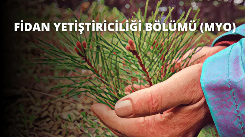 Bir kişinin eli uzanmış, yemyeşil bir bitki tutuyor. Bitki hafifçe sarkıyor ve yaprakları yeni sulanmış gibi görünüyor. El hafifçe sapın etrafına sarılmış, onu destekliyor ve dik tutuyor. Elin uzun, ince parmakları var ve bileği beyaz, uzun kollu bir gömleğin manşetinin altından görünüyor. Arka plan bulanıklaştırılmış ve görüntünün odak noktası olan kişinin eli ve bitkiyle yumuşak bir kontrast oluşturulmuş.