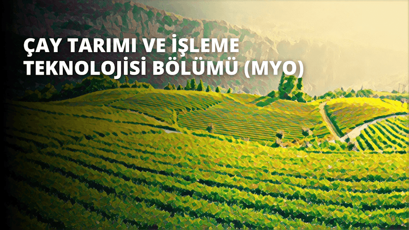 Arka planda ağaçlar ve dağlar bulunan yeşil bir tarlanın güzel manzarası görülüyor. Tarlada düzgün sıralar halinde bitkiler var ve ağaçlar uzun ve yapraklarla dolu. Dağlar mavinin koyu bir tonunda, gökyüzü ise maviler ve beyazların bir karışımı. Ön planda, siyah zemin üzerinde beyaz bir 'O' harfinin yanı sıra bir 'V' ve 'O' var. Arka planda ise siyah zemin üzerinde beyaz bir metin yakın çekim olarak yer alıyor. Resmin tamamı canlı ve dikkat çekicidir, bu da onu bir resim başlığı veri kümesi için kullanmak üzere harika bir görüntü haline getirir.