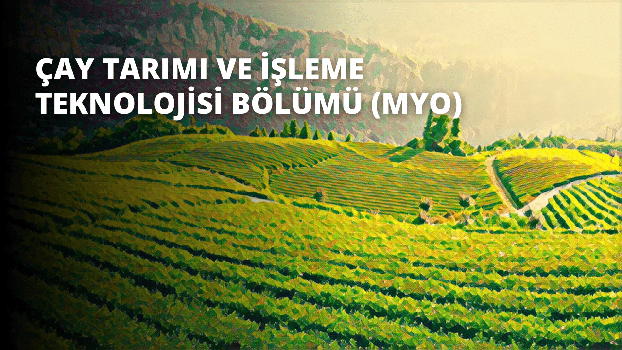 Arka planda ağaçlar ve dağlar bulunan yeşil bir tarlanın güzel manzarası görülüyor. Tarlada düzgün sıralar halinde bitkiler var ve ağaçlar uzun ve yapraklarla dolu. Dağlar mavinin koyu bir tonunda, gökyüzü ise maviler ve beyazların bir karışımı. Ön planda, siyah zemin üzerinde beyaz bir 'O' harfinin yanı sıra bir 'V' ve 'O' var. Arka planda ise siyah zemin üzerinde beyaz bir metin yakın çekim olarak yer alıyor. Resmin tamamı canlı ve dikkat çekicidir, bu da onu bir resim başlığı veri kümesi için kullanmak üzere harika bir görüntü haline getirir.