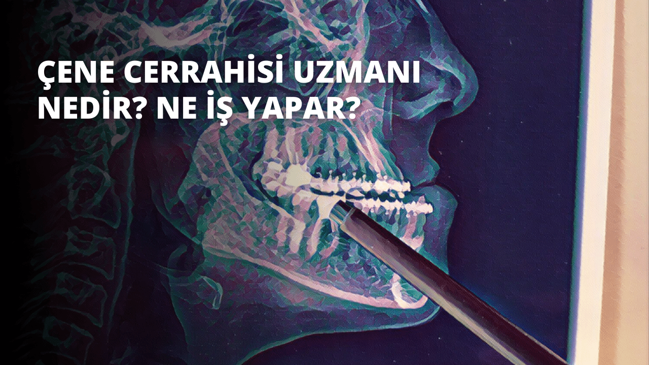 Bu bir insan kafatasının röntgeni. Kafatasının ana hatlarının açıkça görülebildiği siyah beyaz bir görüntüdür. Görüntü önden, başın üst kısmı izleyiciye bakacak ve çene hafifçe açık olacak şekilde çekilmiştir. Gözler ve burun görünmüyor, ancak göz çukurlarının ve burun boşluğunun ana hatları görülebiliyor. Ağız açık ve ağzın içinde büyük bir kılıç görülüyor. Kılıcın ağzı uzun ve kavislidir ve kılıcın sapı arka planda görülebilmektedir. Görüntünün arka planı bulanıktır, ancak kafatasının ayrıntıları odakta kalır. Görüntü bir kare içinde çerçevelenmiş ve görüntünün kenarları hafifçe yuvarlatılmıştır.