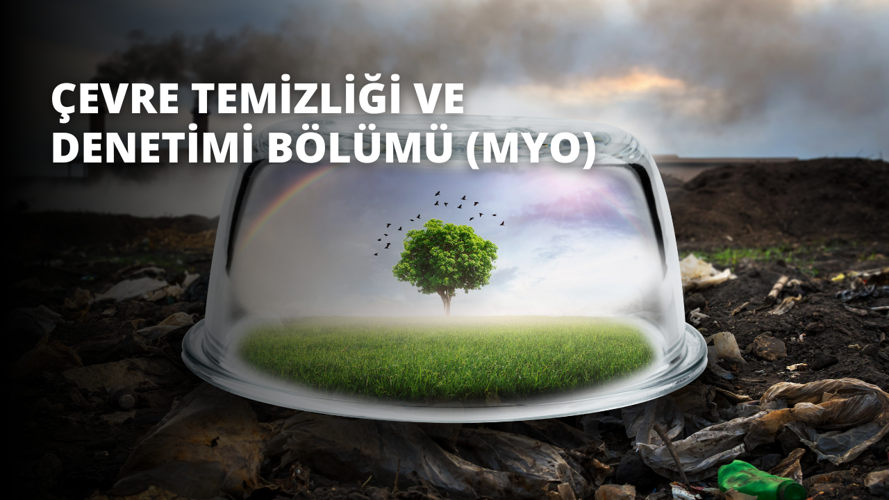 Cam bir kubbe, içinde yemyeşil yaprakları olan görkemli bir ağaç sergiliyor. Ağacın dalları parlak mavi gökyüzüne doğru uzanmakta ve arka planda küçük kuşlar uçmaktadır. Aşağıdaki çimenlik alanı hafif bir sis kaplıyor ve yeşil bir kumaş giyen bir kişi uzakta duruyor. Su ön planda çağlayarak akıyor ve dönen beyaz bir duman oluşturuyor. Çimenlerin yakın çekimi yamalı bir doku ortaya çıkarırken, sağda beyaz bir O harfi görülüyor. Son olarak, uzak arka planda bir tarlanın bulanık görüntüsü görülebiliyor. Bu görüntünün unsurları birlikte hem güzel hem de huzurlu büyüleyici bir sahne oluşturuyor.