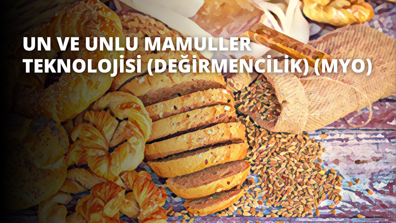 Bu yakın çekim yiyecek görüntüsünde çerçevenin ortasına yerleştirilmiş bir sosisli sandviç görülüyor. Arka plan hafif bulanıkken sosisli sandviç çoğunlukla odaktadır. Sosisli sandviçin solunda hafifçe odak dışında kalan sarı bir nesne var. Çerçevede ayrıca sol üst köşede beyaz bir 'O' harfi ve sağ alt köşede bir torba tohum ve ekmek yer alıyor. Sosisli sandviç açık kahverengi bir renge sahip ve kırmızı zeminli beyaz bir tabağın üzerine yerleştirilmiş. Arka planda, bir fincan, bir bardak ve bir kutu da dahil olmak üzere birkaç başka öğe var.