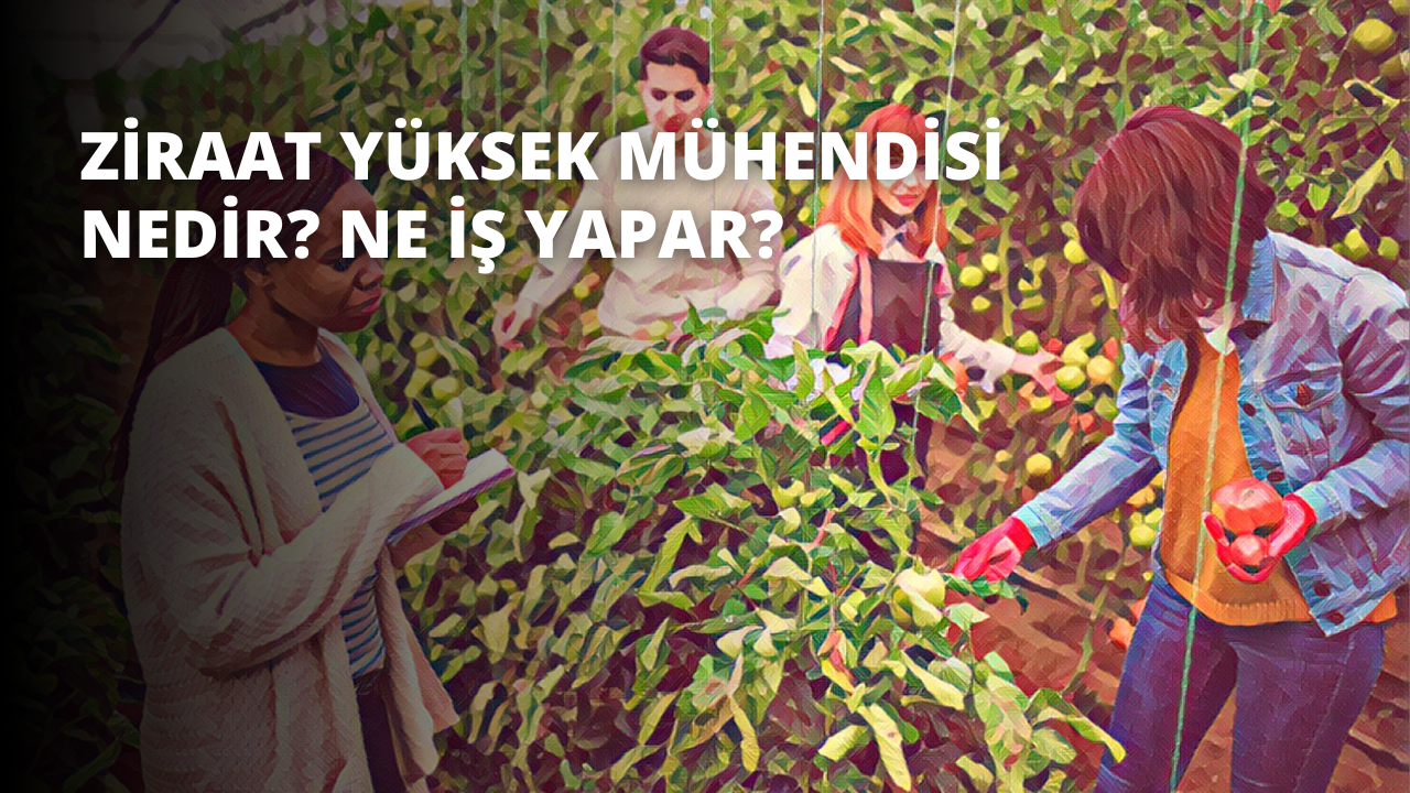 Bir grup insan bir bahçede toplanmış, ağaçtan elma toplamaktadır. Bir kadın elinde bir elma tutarak çerçevenin ortasında duruyor. Başka bir kadın da yakınlarda bir not defterine bir şeyler yazıyor. Solda, beyaz gömlekli bir adam ağaca yaslanmış. Sağda, mor pantolon giyen bir kişi bir çalının arkasında duruyor. Daha sağda bir kadının saçının yakın çekimi görülüyor. Arka planda bir kişi kırmızı bir nesne tutuyor, ancak görüntü bulanık. Tüm insanların yüzünde gülümseme var ve anın tadını çıkarıyorlar.