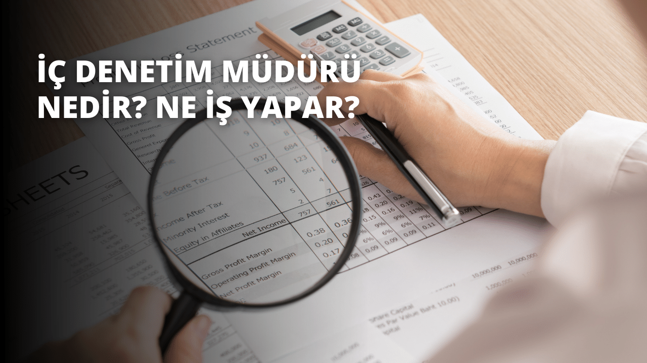 Bu görüntü, elinde kalem ve hesap makinesi tutan bir kişiyi göstermektedir. Kişi yüzü öne dönük ve doğrudan kameraya bakıyor. Hesap makinesi sağ elinde, kalem ise sol elindedir. Kalem siyah veya koyu mavi bir kalem, hesap makinesi ise siyah kasalı basit bir hesap makinesidir. Kişi açık mavi bir gömlek giymektedir ve yüzü saçları tarafından kısmen gizlenmiştir. Arka planda bir belgenin üzerinde bir büyüteç vardır ve ön planda kişinin elinin bulanık bir görüntüsü görülebilir. Arka planda bir kağıdın yakın çekimi de görülebiliyor. Kişi önündeki kaleme ve hesap makinesine odaklanmıştır ve arka plan hafifçe odak dışıdır.