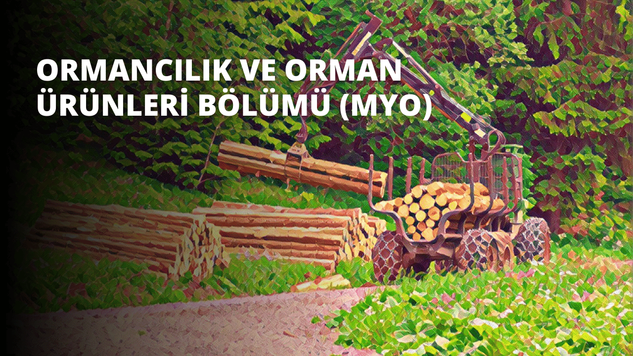 Çerçevenin ortasında bir tomruk yığını bulunan bir makine oturuyor. Kütükler farklı boyutlarda kesilmiş ve uçları farklı açılarda dışarı doğru çıkıntı yapıyor. Kütükler koyu kahverengi ve açık ten renginin bir karışımıdır ve aralarına biraz yeşil yapraklar karışmıştır. Yığın, yeşil ve pembe desenli bir halının önünde duruyor ve renkler keskin bir kontrast oluşturuyor. Sağda, içindekiler yere dökülen kütüklerle dolu bir araba görülüyor. Solda, bir silahın yakın çekimi görülüyor. Yukarıda, yeşil bir yaprağın yakın çekimi görülüyor. Sahne, renklerin canlılığına katkıda bulunan parlak bir doğal ışıkla aydınlatılmıştır.