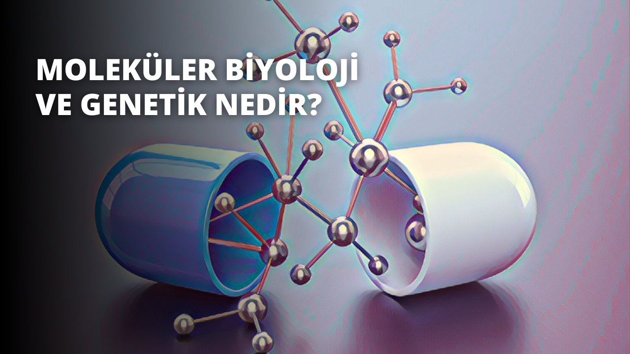 Bu görüntü, birbirine bağlı moleküllere sahip beyaz ve mavi kapsülleri göstermektedir. Kapsüller kule benzeri bir yapı oluşturacak şekilde üst üste yığılmış gibi görünüyor. Kapsüllerin her tarafına dağılmış küçük, kırmızı ve mavi nesneler var. Daha yakından bakıldığında kapsülleri birbirine bağlayan bir grup molekül görülüyor. Moleküller küçük ve karmaşık, neredeyse bir ağ gibi. Kapsüller ve moleküller ilginç ve dinamik bir görsel oluşturacak şekilde düzenlenmiştir. Görüntünün canlı renkleri ve benzersiz yapısı onu göz alıcı ve ilgi çekici bir sahne haline getiriyor.