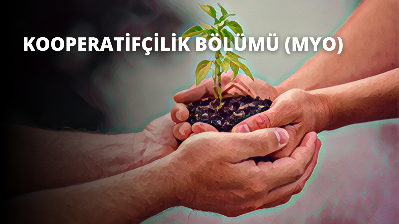 Bir kişi elinde küçük, canlı yeşil bir bitki tutuyor. Bitkinin narin, ince sapları ve hafifçe kıvrılmış parlak yeşil yaprakları vardır. Kişi bitkiye gülümsüyor ve onu nazikçe ellerinin arasına alıyor. Arka plan tamamen bulanıktır ve etraflarında ruhani bir atmosfer yaratır. Görüntünün odağı kişi ve bitki üzerinde, huzurlu ve sakinleştirici bir sahne yaratıyor. Kişi memnun ve mutlu görünüyor, elindeki küçük bitkiye hayranlıkla bakarken gözleri kapalı.