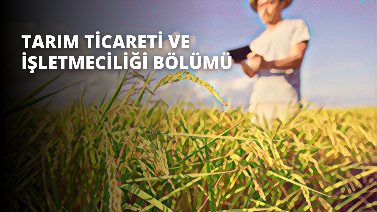 Hasır şapkalı bir adam buğday tarlasında duruyor. Güneş pırıl pırıl parlamakta, altın rengi tahıl saplarını ve adamın siluetini aydınlatmaktadır. Yüzü kameraya dönük duran adamın silueti ufukta beliriyor. Ön planda, sarı ve yeşil bir kurdelenin yanı sıra siyah zemin üzerinde beyaz bir harf görülüyor. Arka planda, elinde bir cihaz tutan bulanık bir insan figürü görülebiliyor. Görüntü, kırsalda bir yaz günü hissi uyandıran rüya gibi, hüzünlü bir niteliğe sahiptir.