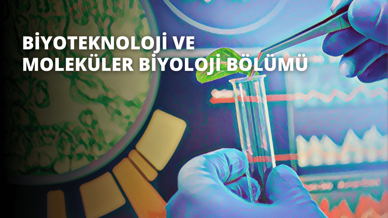 Bir el, içinde bir yaprak bulunan bir test tüpünü kavrarken görülüyor. Yaprak, karmaşık damarları ve küçük lekeleriyle dışarıdan görülebilecek şekilde tüpün içine yerleştirilmiştir. Arka plan bulanık ve odak dışı, çerçevenin sağ alt köşesinde bir saatin yakın çekimi görülüyor. Daha sağda, görüntünün geri kalanından öne çıkan canlı bir renk tonuna sahip renkli bir nesne görülebiliyor. Son olarak, sağ üst köşede narin yaprakları ve ince dokusuyla bir çiçek görülebilir. Tüm bu unsurlar bir araya gelerek ilginç ve ayrıntılı bir görüntü oluşturuyor.